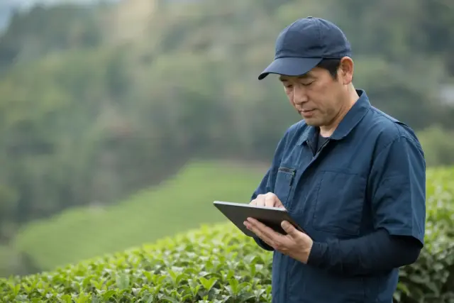 製茶・茶問屋の茶園・ロット・受注台帳のイメージ